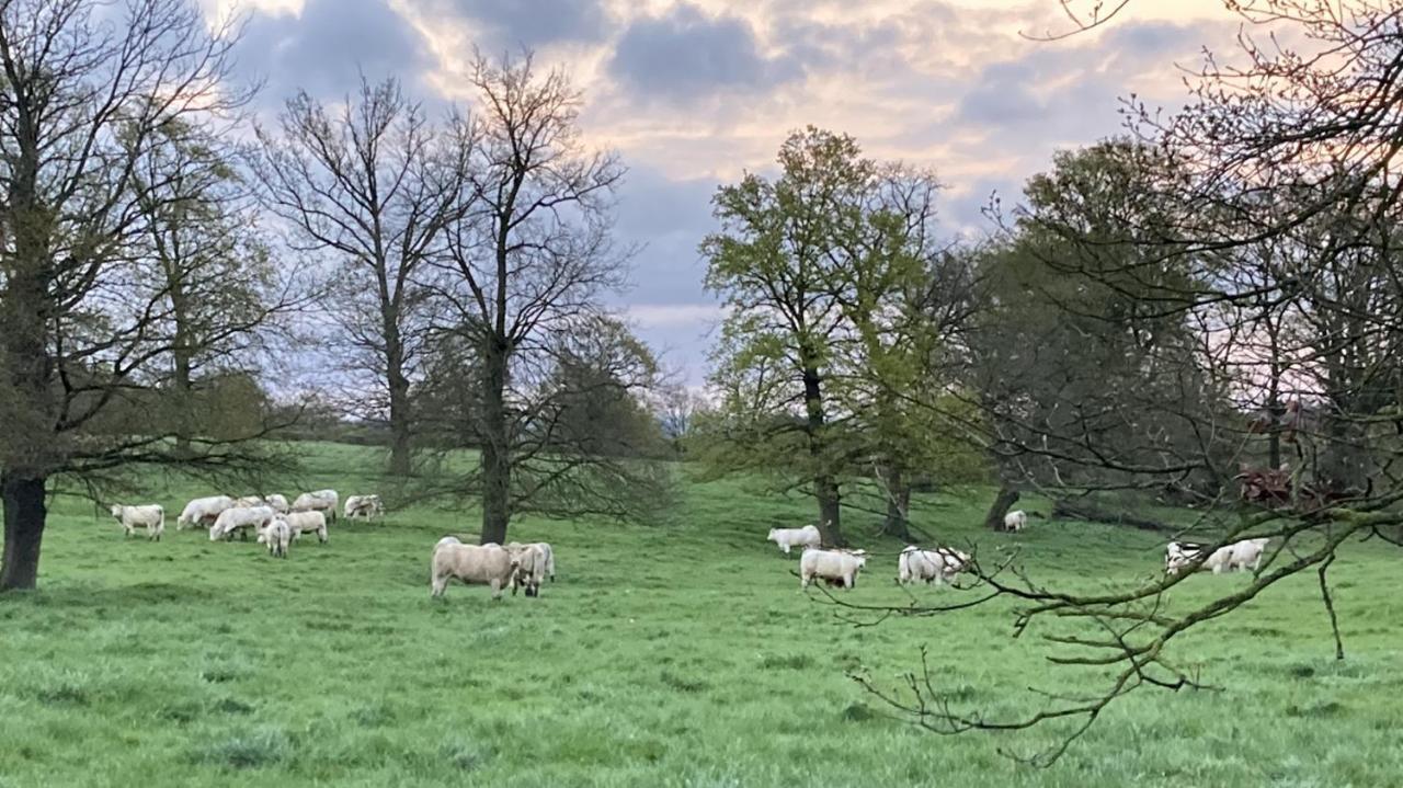 Le Tarde - Crecerelle Villa Saint-Désiré Kültér fotó